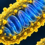 Bilim Dünyasında Devrim: Mitokondriler Nano Katmanlarla Koruma Altına Alındı