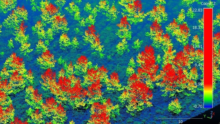 İskoçya'nın Doğal Ormanları Lazer Teknolojisiyle Yeniden Hayat Buluyor