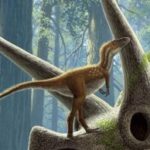 T. rex Yavruları Yumurtadan Çıktıkları Anda Avcılığa Başlıyordu