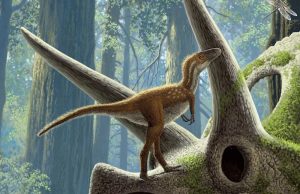 T. rex Yavruları Yumurtadan Çıktıkları Anda Avcılığa Başlıyordu