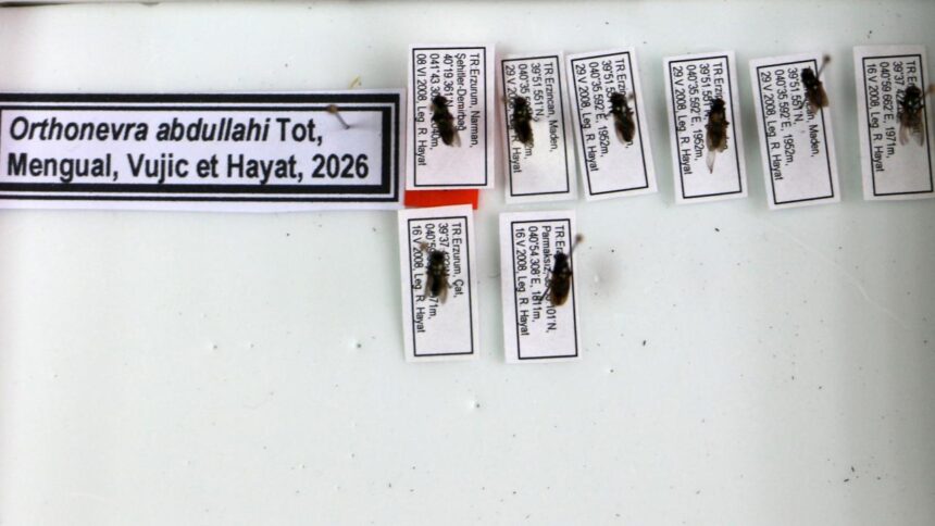 Akademisyenden Vefa: Keşfettiği Yeni Türe Kaybettiği Oğlunun Adını Verdi