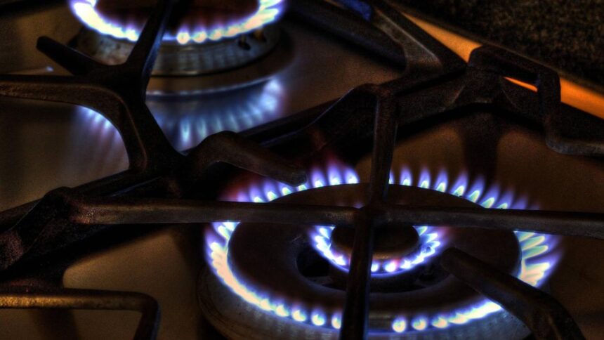 Doğal Gaz Tüketim Desteği'nde 1 Milyar Lirayı Aşan Ödeme