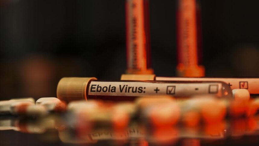 Kongo Demokratik Cumhuriyeti'nde Ebola Salgını: Vaka Sayısı 7 Bin 404'e Ulaştı