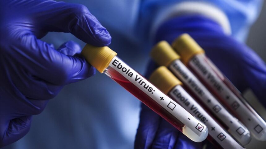 Kongo Demokratik Cumhuriyeti'nde Ebola Vakaları 8 Bin Sınırını Aştı
