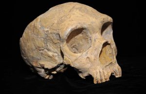 Neandertallerin İlk Keşfi: 19. Yüzyılda Bilim Dünyasının Şaşırtan Teorileri