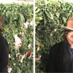Johnny Depp'ten Şaşırtan Hareket: Festivalde Dekoratif Bitkiyi Isırdı