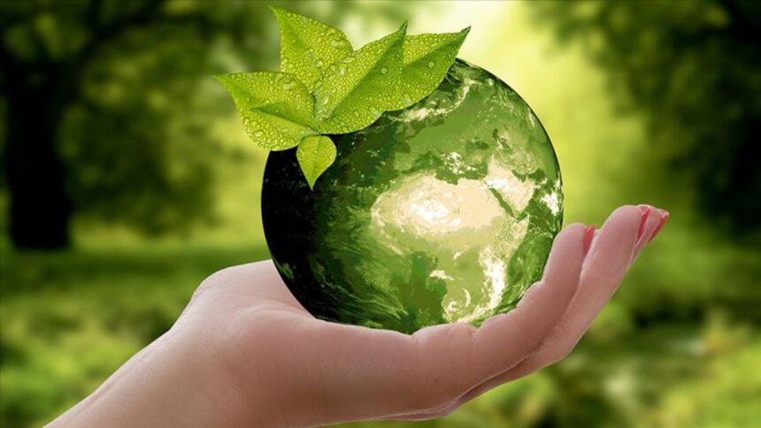 Sıfır Atık Hareketi 9. Yılında: '0'dan COP31'e Dünya İçin Hep Birlikte'