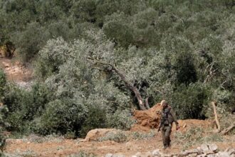 İsrail Ordusu Batı Şeria'da Tarım Arazilerine Müdahale Etti