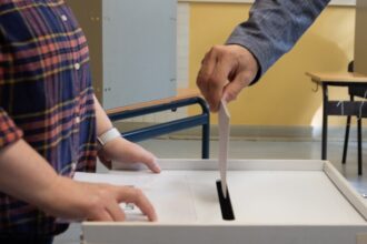 Almanya'da Seçim Sonuçları: AfD Mecklenburg-Vorpommern'de Birinci Parti Oldu