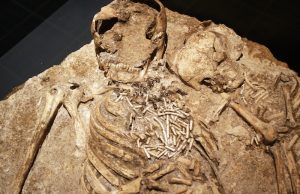 7.000 Yıl Önce Erkek Genetik Çeşitliliğinde Yaşanan Büyük Çöküşün Sırrı