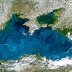 Karadeniz'de Güvenlik Arayışı: Bulgaristan'dan Türkiye ve Romanya'ya Ortak Hareket Çağrısı