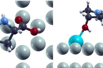 Biyomedikal Mühendisliğinde Devrim: Magnezyum İmplantların Ömrü Uzatılıyor