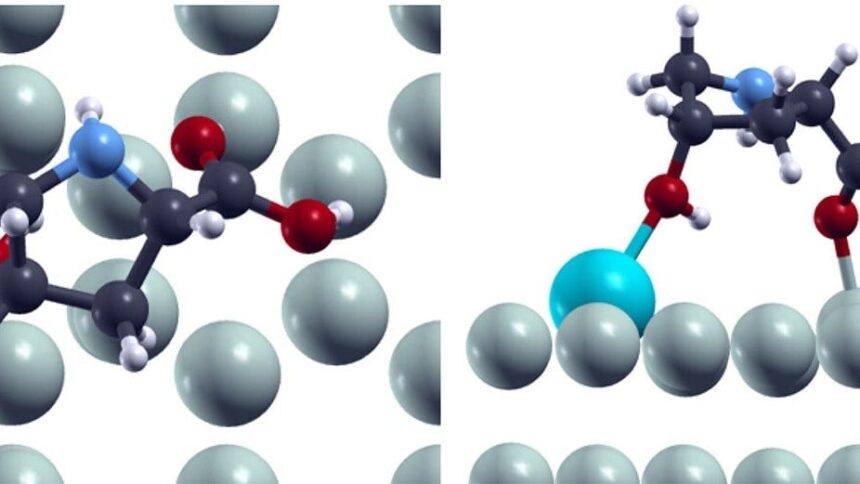 Biyomedikal Mühendisliğinde Devrim: Magnezyum İmplantların Ömrü Uzatılıyor