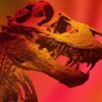 Bilimsel Araştırma: T. rex’in Vücut Sıcaklığı İnsanla Benzerlik Gösteriyor