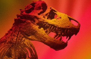 Bilimsel Araştırma: T. rex’in Vücut Sıcaklığı İnsanla Benzerlik Gösteriyor