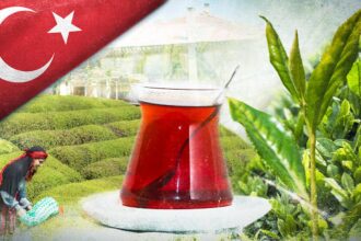 Türk Çayı Dünya Pazarında Yükselişte: 9 Aylık İhracat 25 Milyon Doları Aştı
