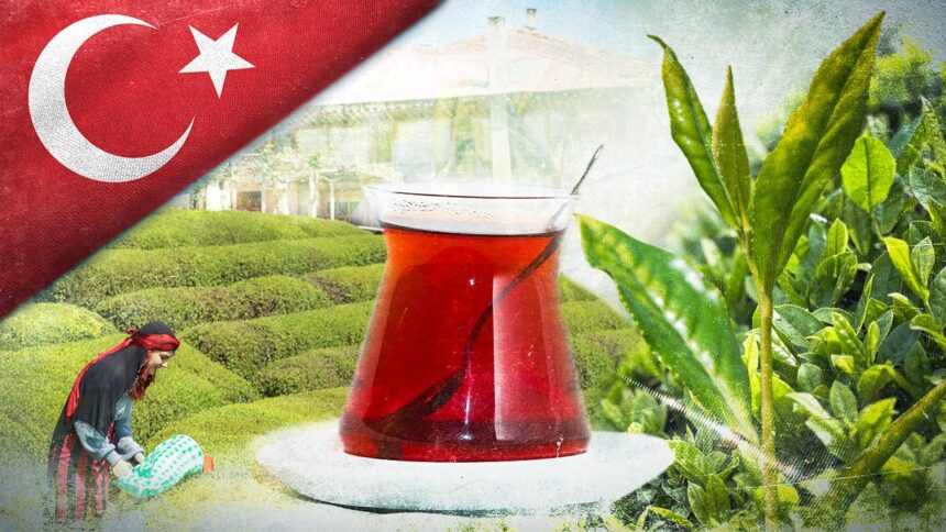 Türk Çayı Dünya Pazarında Yükselişte: 9 Aylık İhracat 25 Milyon Doları Aştı