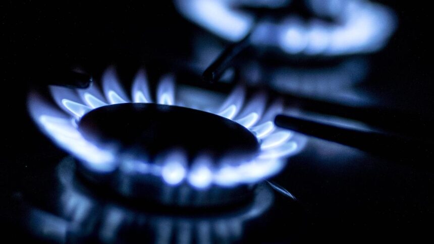 Türkiye'de Doğal Gaz Arzı Genişliyor: Hedef 1000 Yerleşim Yeri