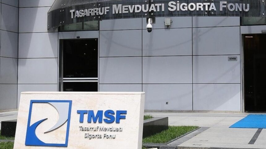 TMSF'den Destek Yatırım Bankası'na Yönetim Müdahalesi