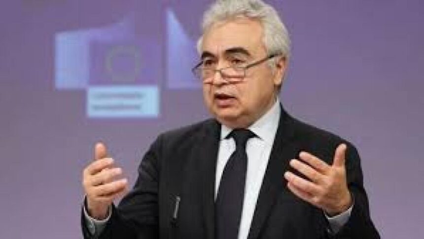 Uluslararası Enerji Ajansı'ndan Küresel Dizel Arzı İçin Acil Stok Çağrısı