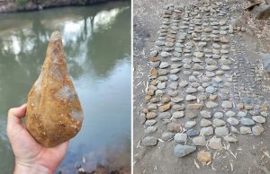 İnsanlığın Büyük Göçünde Şaşırtıcı Ortaklık: Dev Fillerle Aynı Rotayı Paylaştık
