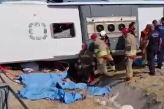Manisa'da Trafik Kazası: Yolcu Otobüsü ile Tır Çarpıştı