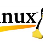 Hollanda Kamu Kurumlarında Dijital Dönüşüm: Windows Yerine Linux Dönemi