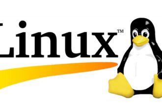 Hollanda Kamu Kurumlarında Dijital Dönüşüm: Windows Yerine Linux Dönemi