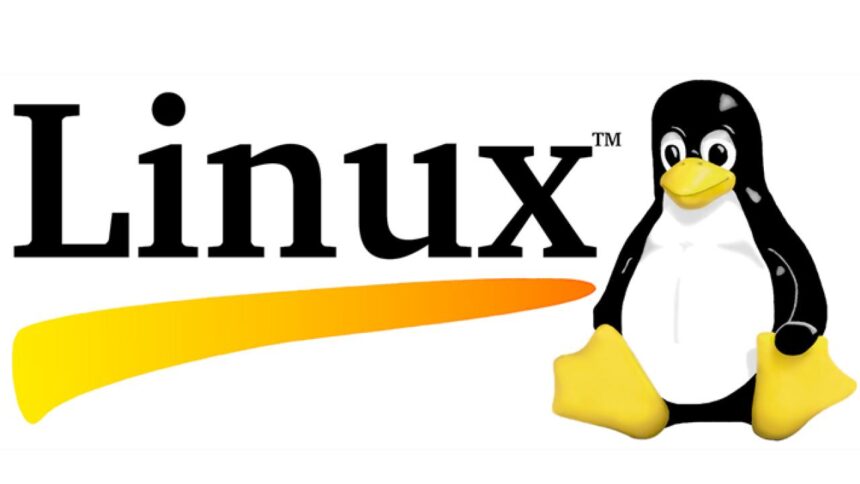 Hollanda Kamu Kurumlarında Dijital Dönüşüm: Windows Yerine Linux Dönemi