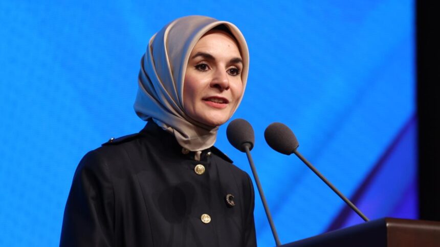 Aile ve Sosyal Hizmetler Bakanlığı'ndan Engelli Bakımında Yeni Dönem