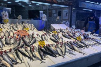 Trabzon'da Palamut Sezonu: Fiyatlar ve İlgi Artıyor