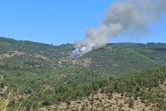 Bursa'nın Büyükorhan İlçesinde Orman Yangını: Ekipler Seferber Oldu