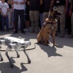 TEKNOFEST Güneydoğu'da Teknoloji ve Eğitim Bir Arada: Robot Köpek Gösterisi İlgi Odağı Oldu