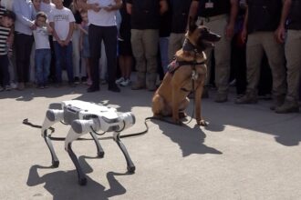 TEKNOFEST Güneydoğu'da Teknoloji ve Eğitim Bir Arada: Robot Köpek Gösterisi İlgi Odağı Oldu