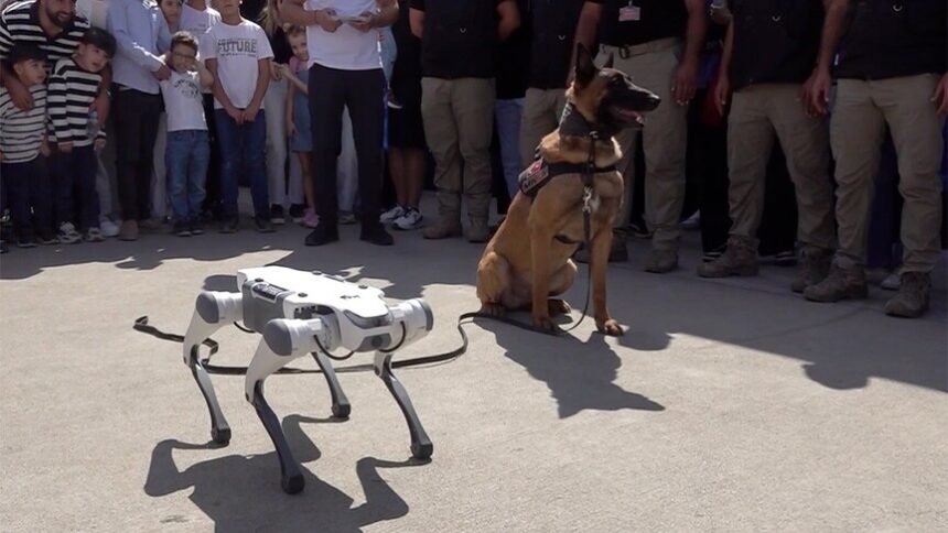 TEKNOFEST Güneydoğu'da Teknoloji ve Eğitim Bir Arada: Robot Köpek Gösterisi İlgi Odağı Oldu