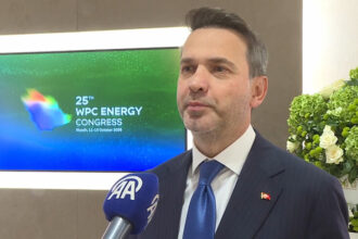 Türkiye'den Bölgesel Enerji Hamlesi: Dört Ülkeyi Birleştirecek Elektrik Hattı İçin Görüşmeler Başladı