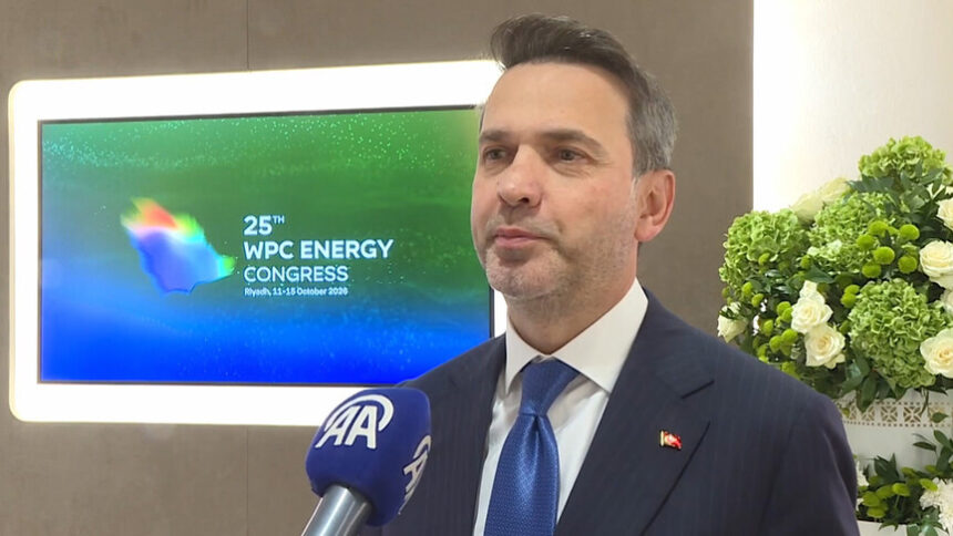 Türkiye'den Bölgesel Enerji Hamlesi: Dört Ülkeyi Birleştirecek Elektrik Hattı İçin Görüşmeler Başladı